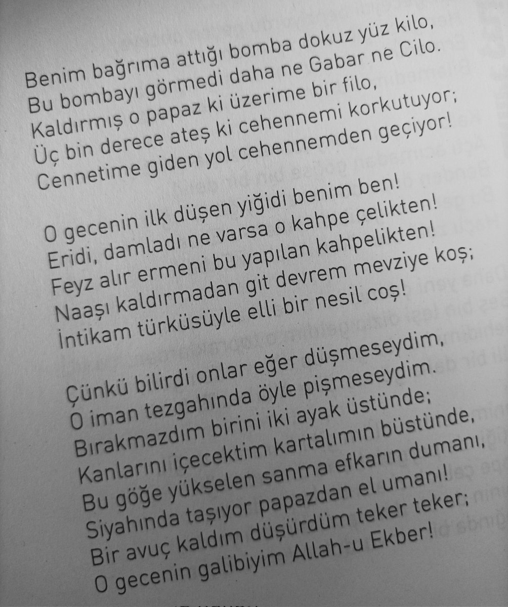 Yavuz Ali Oktay - Kahpe Çelik