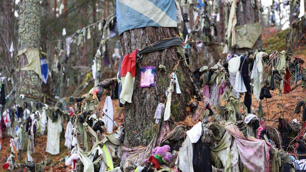 Wednesday Well. St. Boniface’s Well aka Munlochy Clootie Well located in Munlochy on the Black Isle north of Inverness, Scotland. Well is dedicated to 7th century missionary Boniface aka St. Curetan. Celtic tradition of tying a piece of cloth called a clootie to a tree or bush as