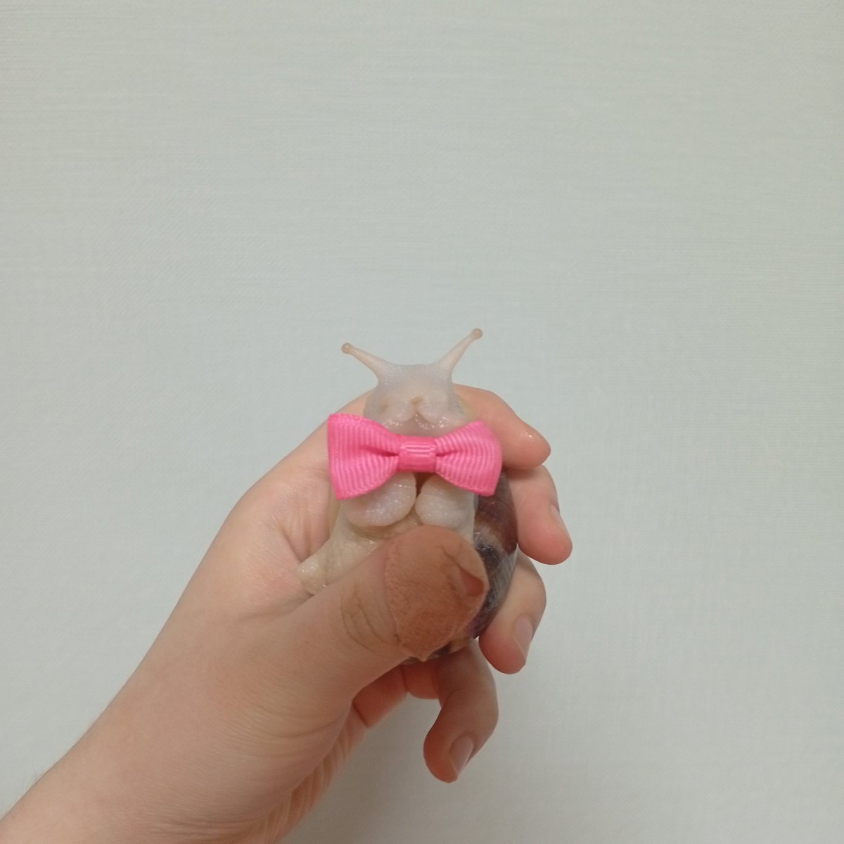 CHighCommand's tweet image. We're unleashing our secret weapon.