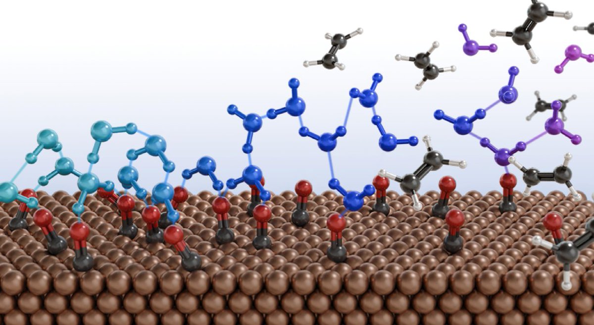 Materials Science and Engineering at Penn (@mseatpenn) on Twitter photo <a href="/MSEatPenn/">Materials Science and Engineering at Penn</a> associate professor Shoji Hall and colleagues have found that manipulating the surface of water can allow scientists to sustainably convert carbon monoxide to higher energy fuel sources like ethylene.
shorturl.at/JQ2VV <a href="/MSEatPenn/">Materials Science and Engineering at Penn</a> associate professor Shoji Hall and colleagues have found that manipulating the surface of water can allow scientists to sustainably convert carbon monoxide to higher energy fuel sources like ethylene.
shorturl.at/JQ2VV