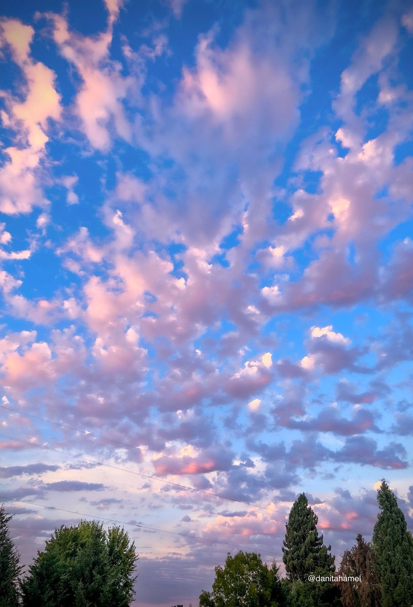 danitahamel's tweet image. Happy Wednesday everyone! 🫖☕️😃👋🏻

Today’s photo theme is: Float ⛅️

#Float