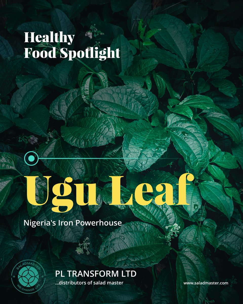 pl_transform's tweet image. The bad news is:
Most people destroy 50% of Ugu’s iron content within the first 5 minutes. How? Through the use of toxic pots, too much water, and high heat.

The smart solution is to use Saladmaster. It doesn&apos;t leach toxins. And waterless cooking locks in the nutrients.