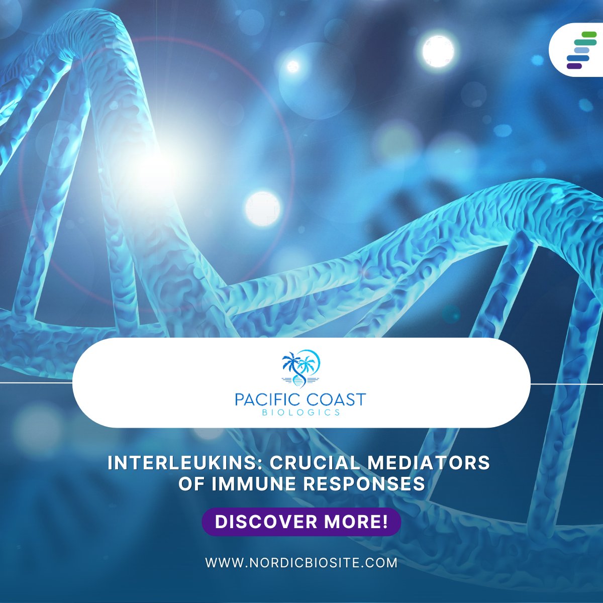 Boost your immune research with high-purity Interleukins from Pacific Coast Biologics. Reliable, bioactive, and ready for your next breakthrough! #Immunology #NordicBiosite