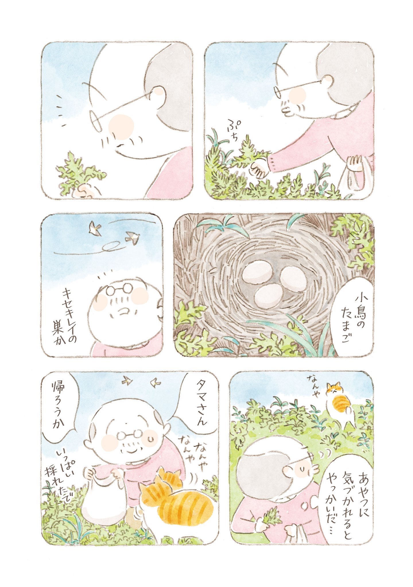 ねこまき☆ ねことじいちゃん11【電子特典付き】」ねこまき(ミューズ