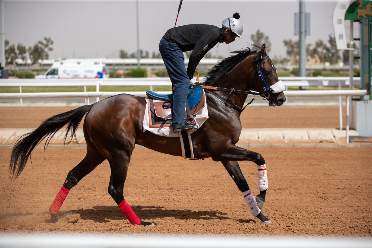 نادي سباقات الخيل (@frusiyaclub) on Twitter photo فال خير 🤩
احد نجوم الاسطبل الابيض في الموسم الماضي يعود مجدداً للمشاركة في السباقات وتحديداً هذا الأسبوع بالسباق التحضيري لديربي الطائف، وسيكون على القيادة الكولومبي المخضرم كاميلو اوسبينا 👍 <a href="/camilospina0926/">Camilo Ospina</a> فال خير 🤩
احد نجوم الاسطبل الابيض في الموسم الماضي يعود مجدداً للمشاركة في السباقات وتحديداً هذا الأسبوع بالسباق التحضيري لديربي الطائف، وسيكون على القيادة الكولومبي المخضرم كاميلو اوسبينا 👍 <a href="/camilospina0926/">Camilo Ospina</a>