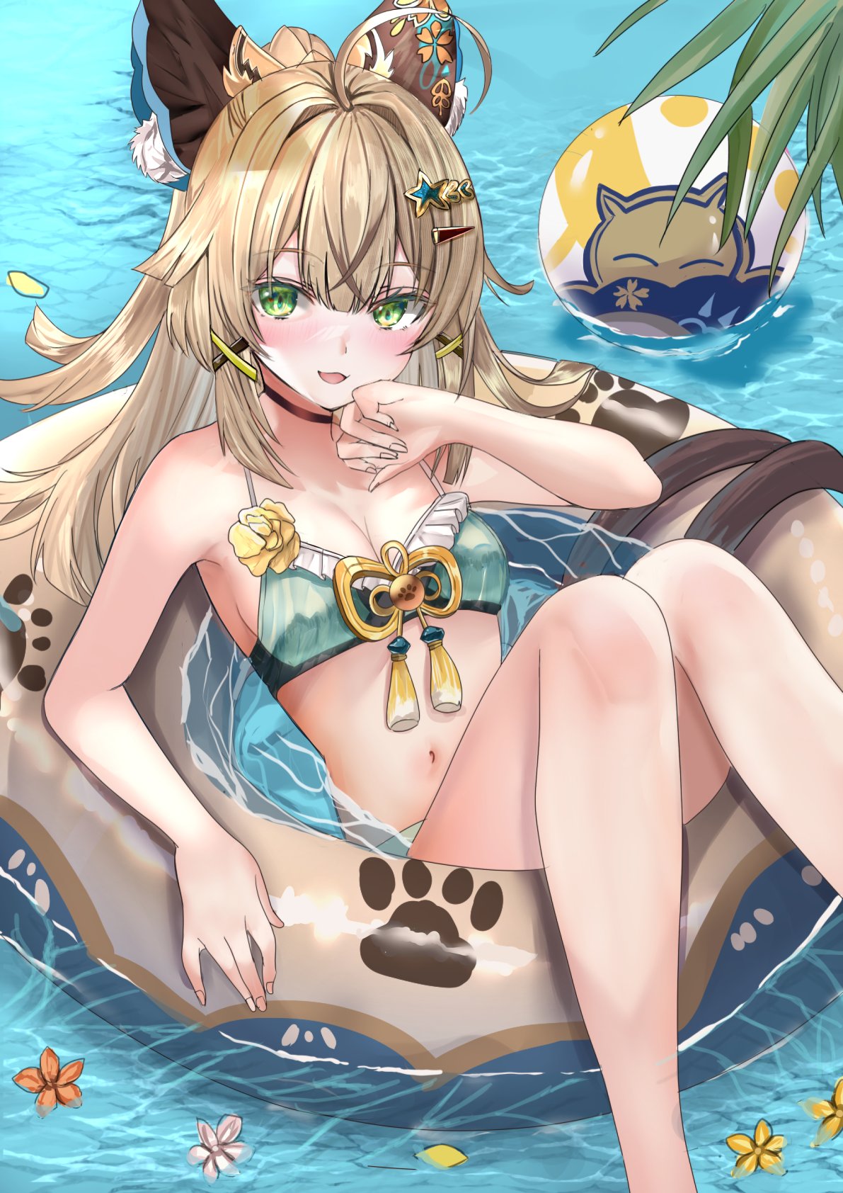 投稿の画像