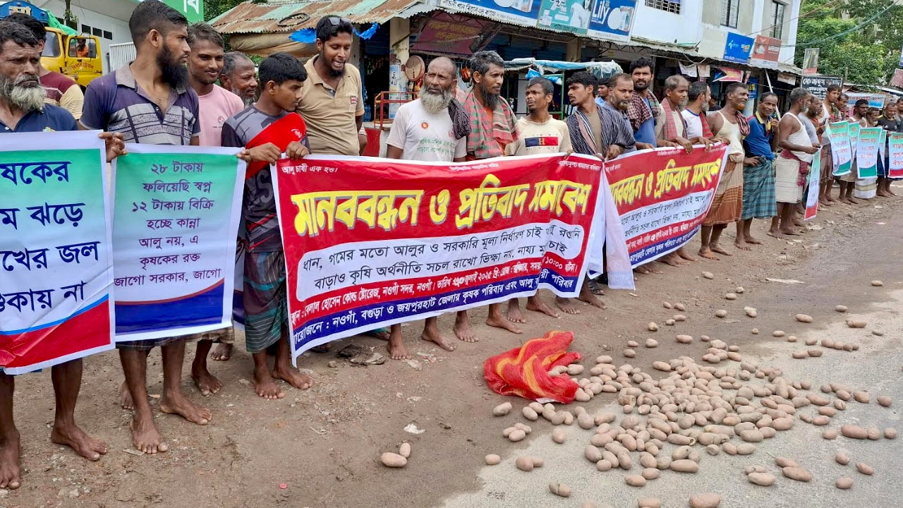 আলুর ন্যায্যমূল্যের দাবিতে নওগাঁয় কৃষকদের মানববন্ধন ও প্রতিবাদ সমাবেশ