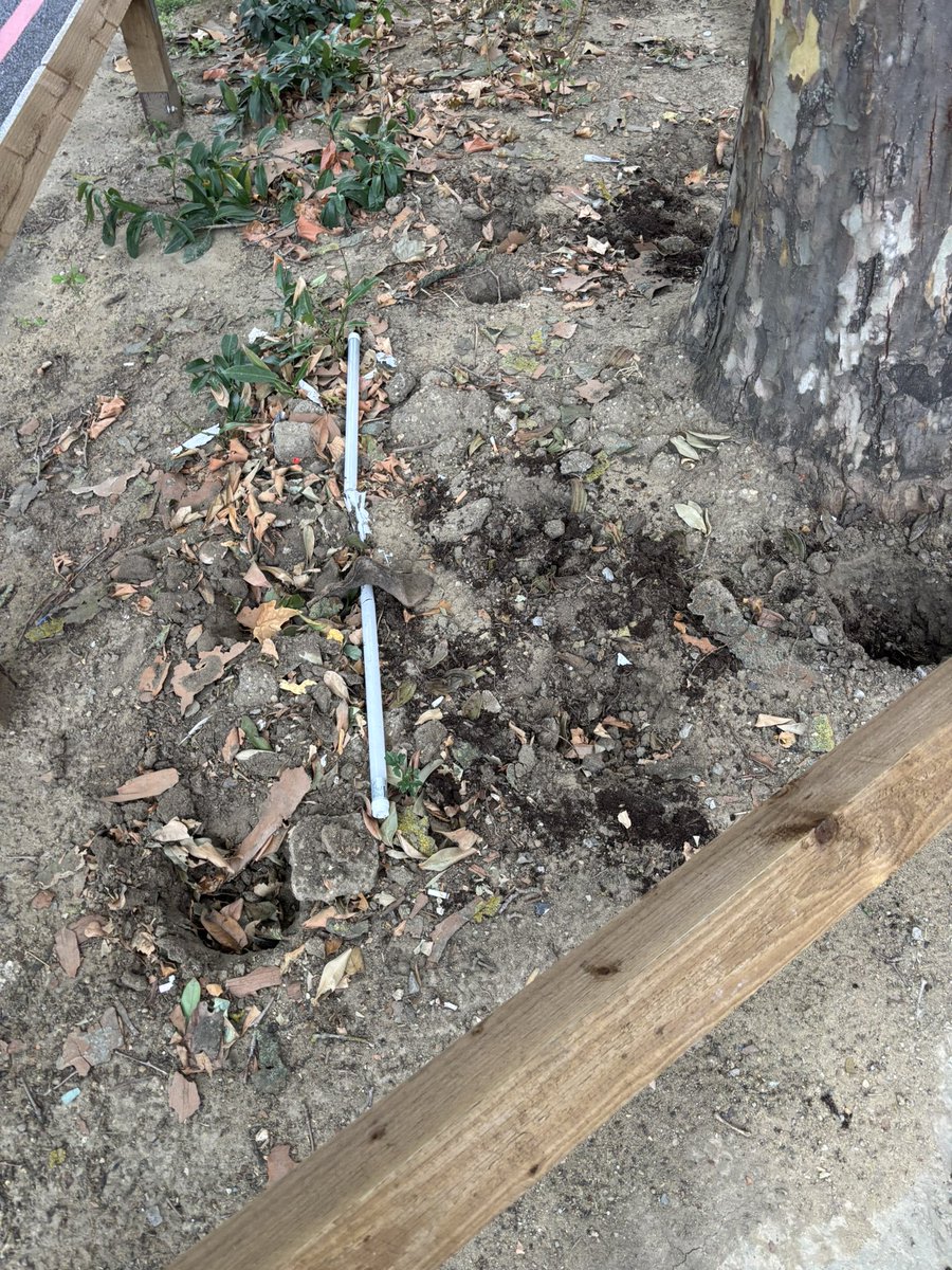 The Lewisham Binfluencer (@the_binfluencer) on Twitter photo If it’s not locked down in Lewisham it will get stolen. New <a href="/LewishamCouncil/">Lewisham Council</a> planting uprooted and stolen. Normal for Lewisham. If it’s not locked down in Lewisham it will get stolen. New <a href="/LewishamCouncil/">Lewisham Council</a> planting uprooted and stolen. Normal for Lewisham.