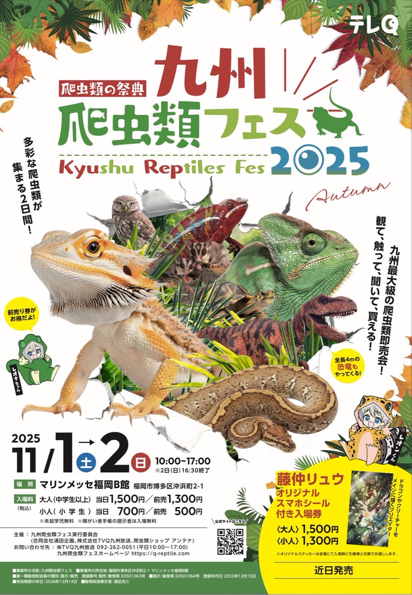 ヒ*ロ様 ☘️ スペシャルイベント☘️ラスト2☘️371 ❤️超希少【カメレオン Sunset ♂ sold ♂あと残り1本です🌇 . . . #ボールパイソン #サン