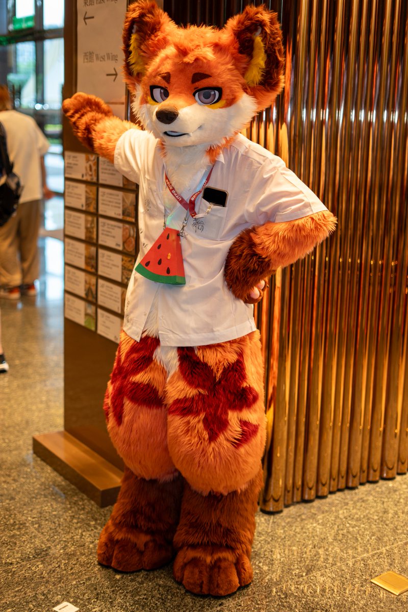 紀州の関東人(Kisyu)/キセノン Xenon 🐶 tweet media