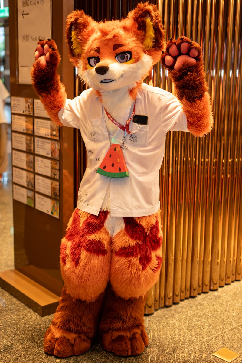 紀州の関東人(Kisyu)/キセノン Xenon 🐶 tweet media