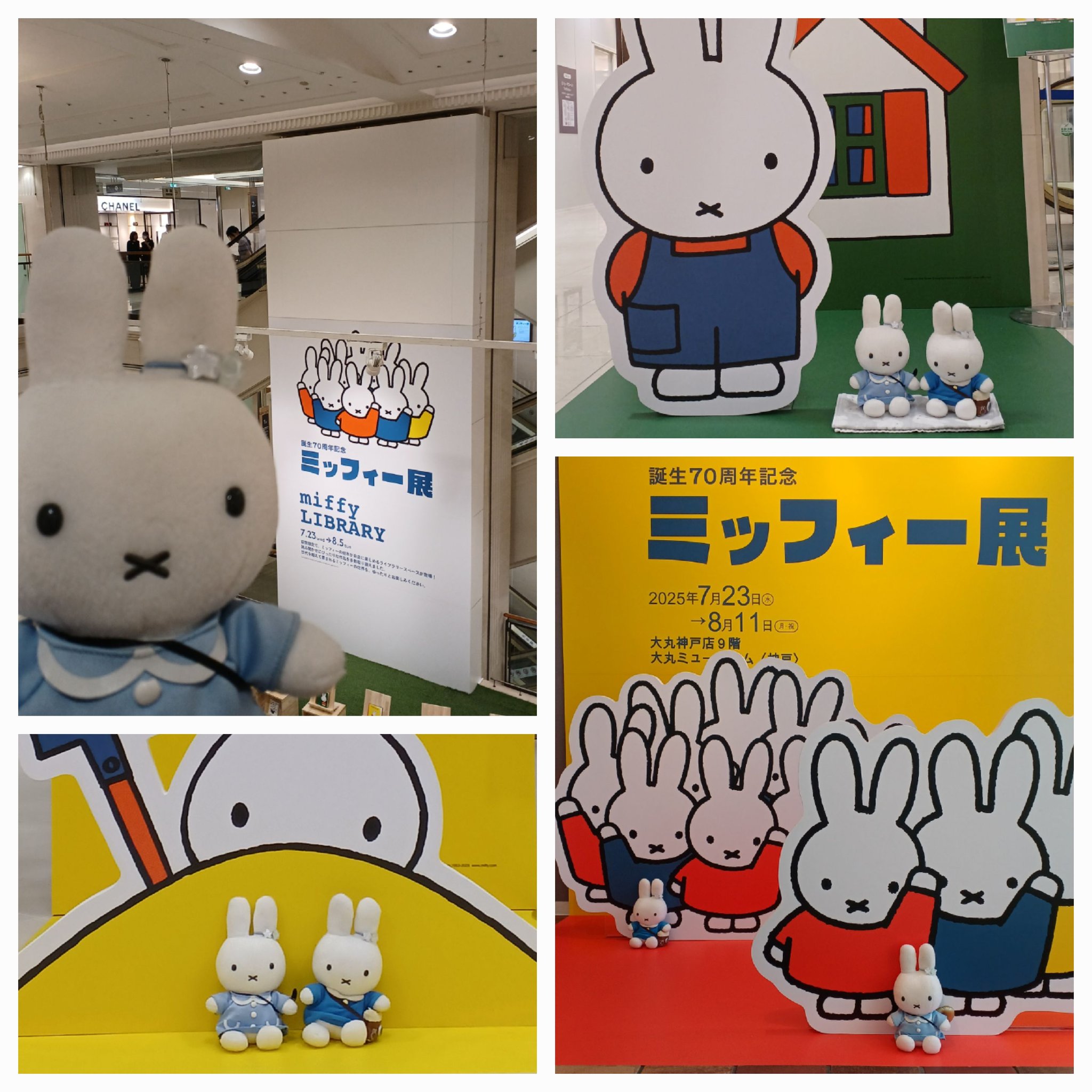 mify様 ヨドバシ.com - クツワ MF857A [限定 ミッフィー＆ローズ（MIFFY
