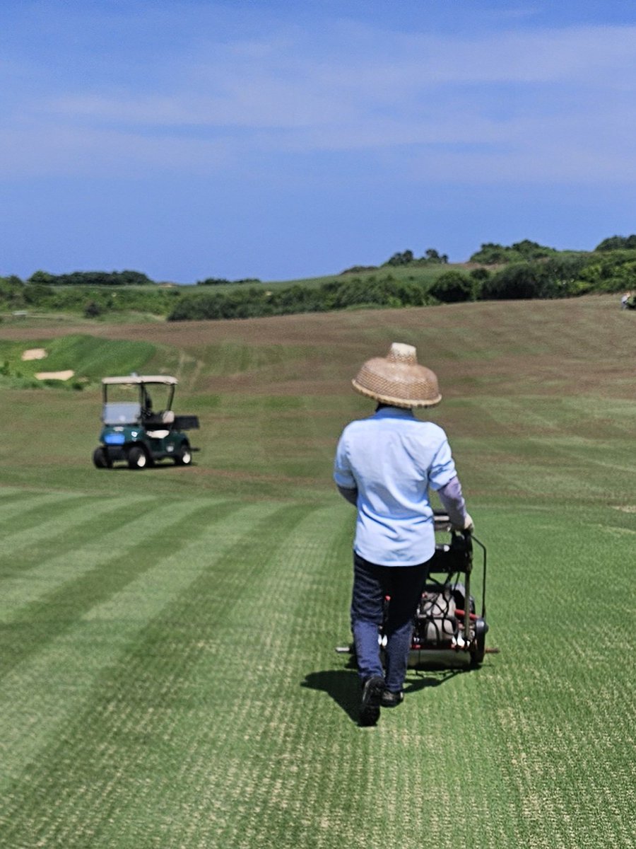 Summer of Surface Removal