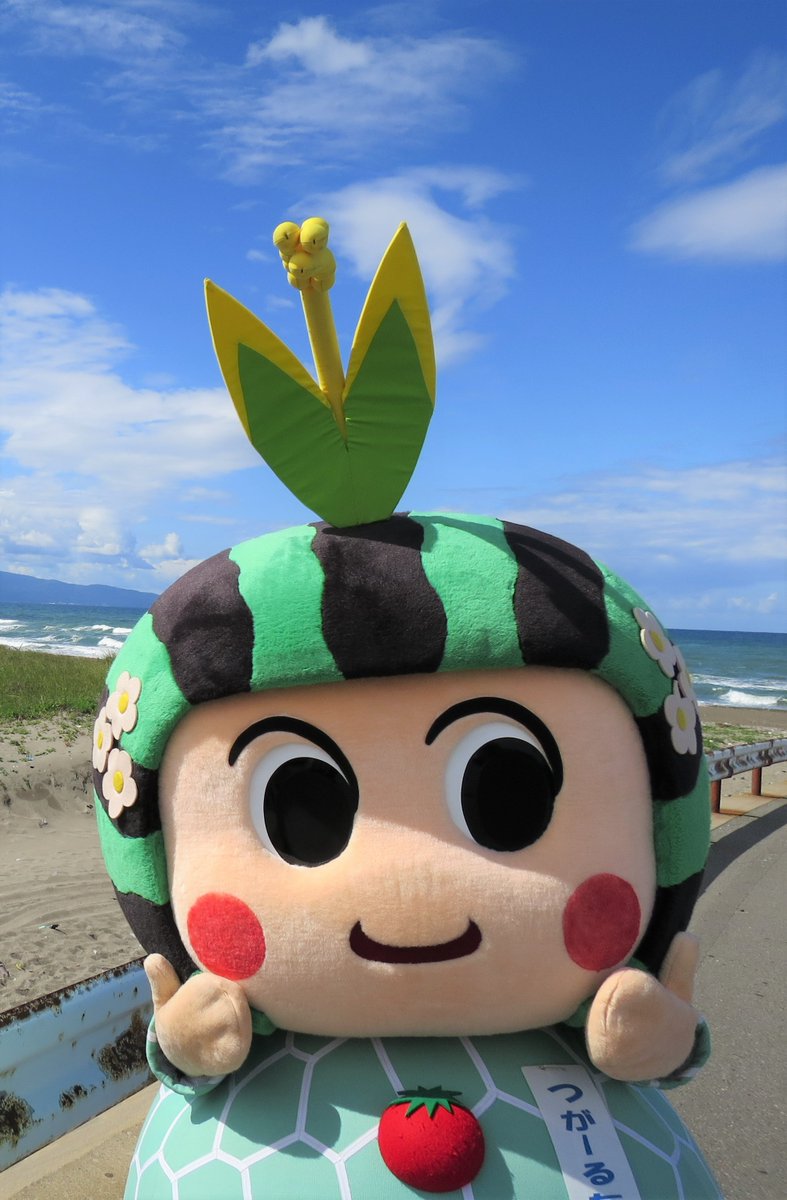つがーるちゃんです（。∂◡∂。🍈)

名古屋と西宮のスーパーさんで
行ったメロン試食販売では
たくさんの方に来ていただき
またお手紙もいただいたり
本当にうれしかったです(#^.^#)
ありがとうございました♡

メロン美味しかったですか？

まだまだ暑い日続いてます( ;∀;)
気を付けてね♡