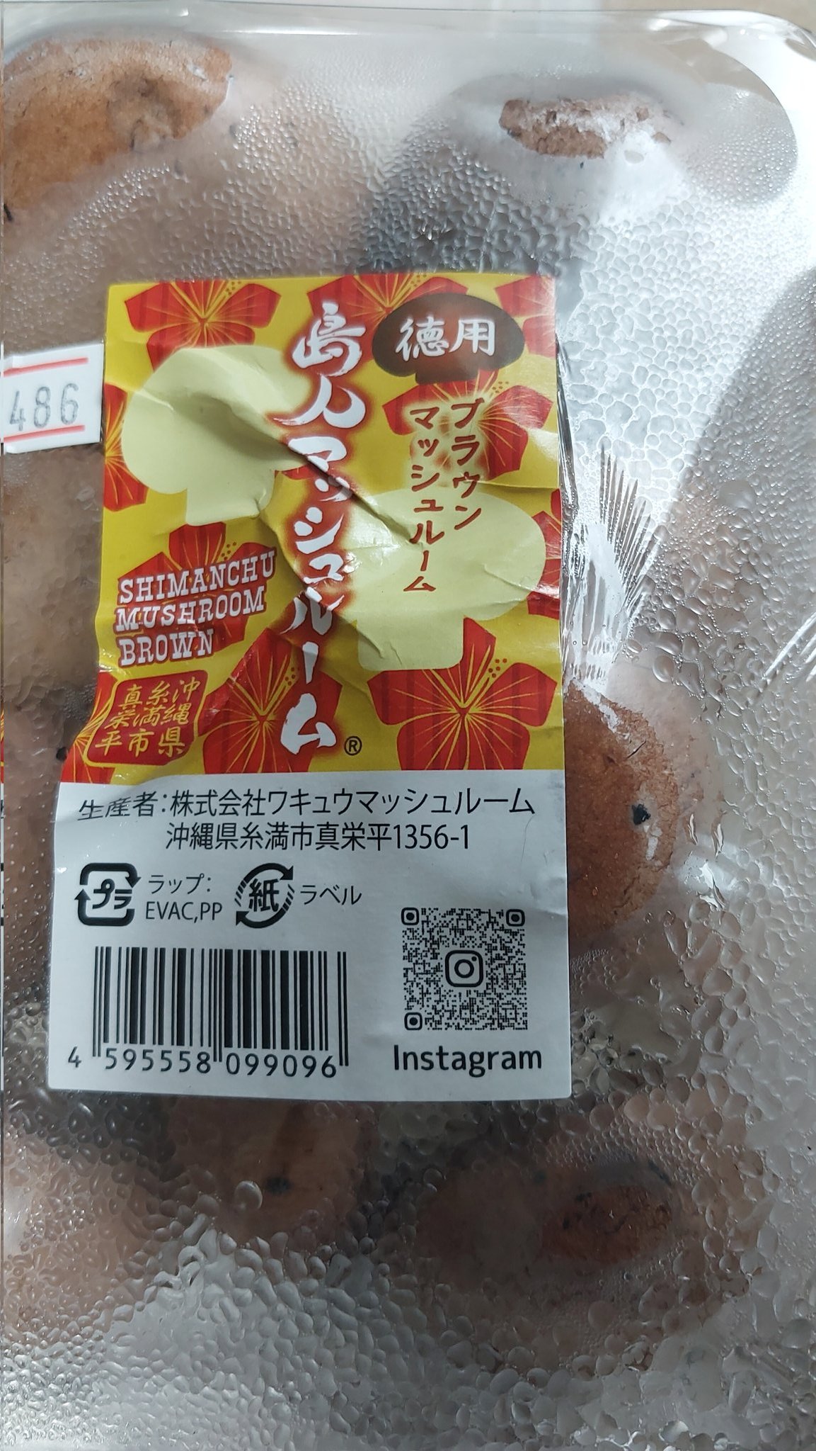 マッシュルーム 吉池 on X: 