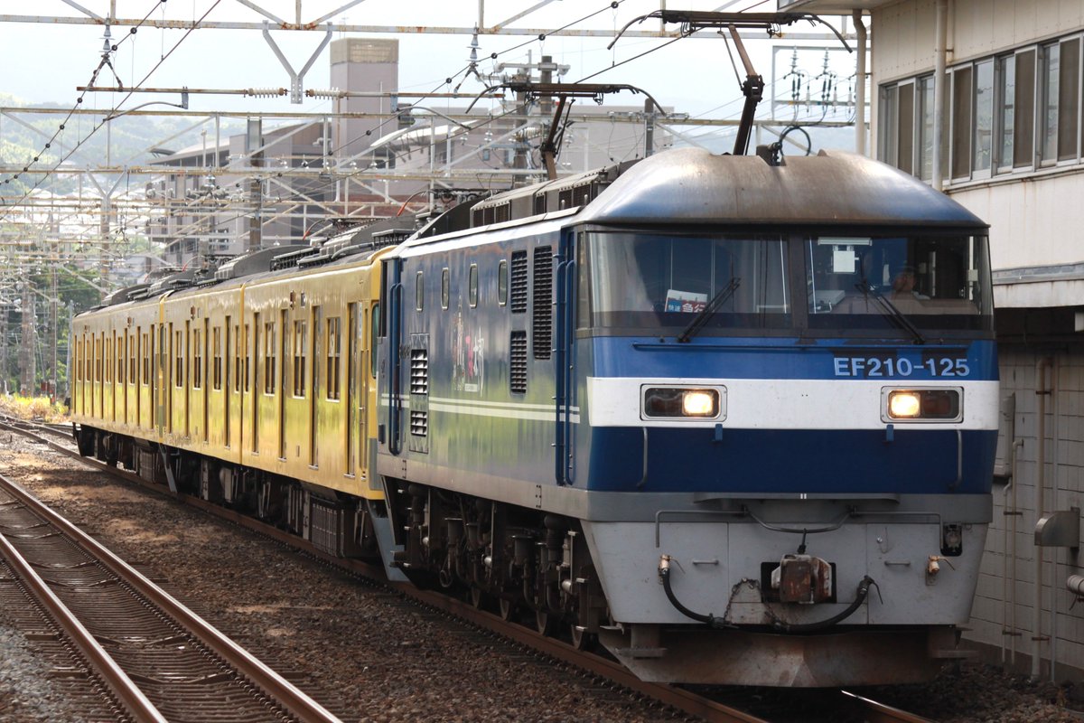 NJnohito's tweet image. 2025/7/27

西武2000系の2417編成と2419編成が遂に近江の地へ！

西武2000系 近江鉄道譲渡の甲種輸送を撮りました！
朝から沢山の鉄道ファンの方々に見送られ、東海道線を駆け抜けていきました！

長年西武線で親しまれた顔が、遠い滋賀県でも見られるとは…。

＃西武線　＃近江鉄道　#甲種回送