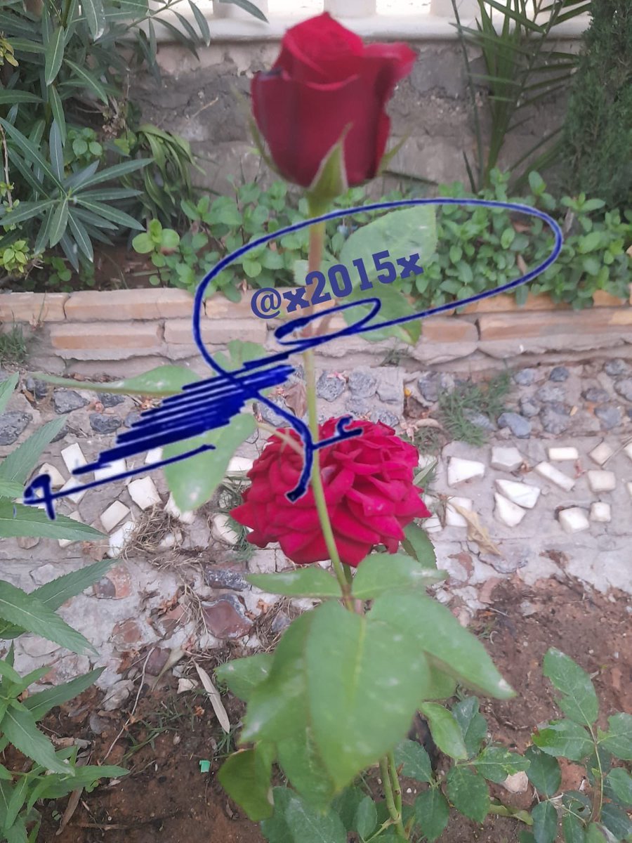 اللهم اجعلنا من أهل النفوس الطاهرة والقلوب الشاكرة والوجوه المستبشرة، وارزقنا طيب المقام وسعة الرزق وحسن الختام، وأدخلنا برحمتك الفردوس الأعلى من الجنة