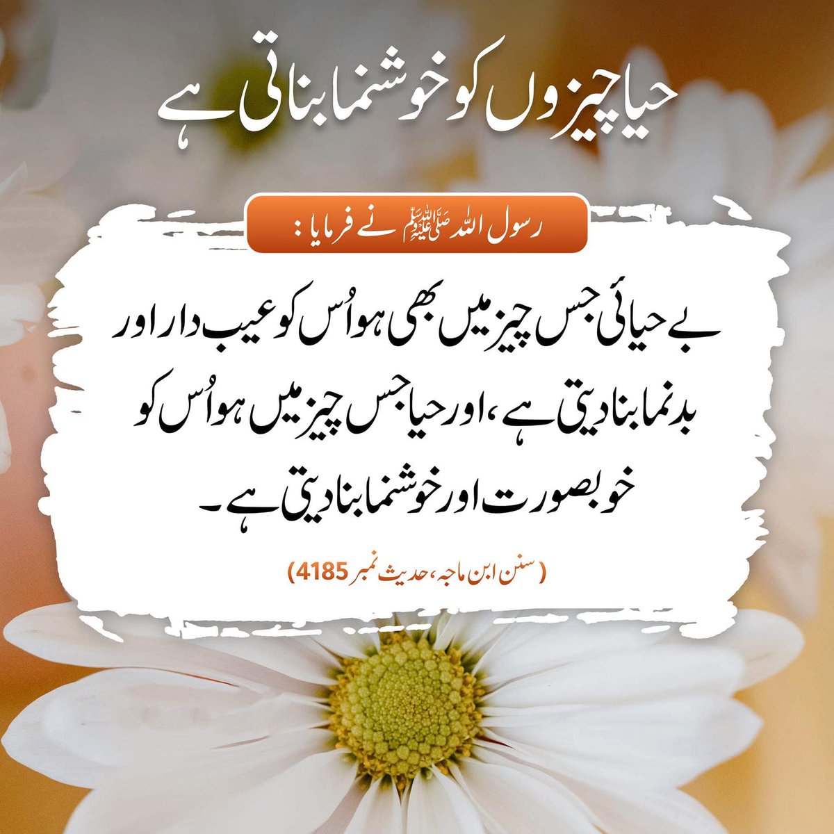 السلام وعلیکم ورحمتہ اللہ وبرکاتہ 💞
 
بے حیائی سے مراد ☝️

کسی کی عزت وآبرو کو غلط سے دیکھنا نہیں بلکہ اپنے سے بڑے سے بد تمیزی کرنا یا اس کی اچھی بات کو رد کرنا 

حیا سے مراد ☝️
 
وہ لوگ جو کسی بھٹکے ہوئے انسان کو صحیح راستہ بتاتے ہیں جو برے کاموں سے روکتے ہیں
 
دوپہر بخیر 💞