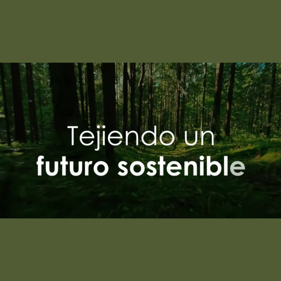 🌱El Consejo de Cultura de la <a href="/InstTeresiana/">Institución Teresiana</a> ha presentado el documento 'Caminar hacia la conversión ecológica' que busca “promover la ecología integral como categoría de vida, tejer un futuro sostenible”.

Enlace al video en Youtube 🔗youtu.be/0CB9Hb_hIP8

#ITespaña