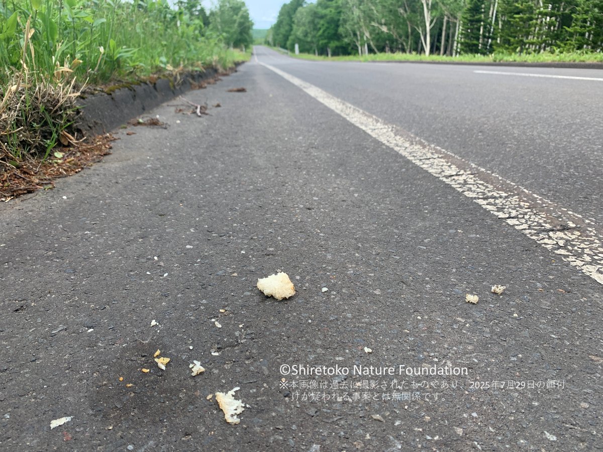 7月29日、知床国立公園内にてヒグマへの餌付けが疑われる事案が発生しました。目撃者からの通報によると、車内からヒグマにスナック菓子を与えていたようです。人から食べ物を与えられたヒグマは行動がエスカレートしていくと人に危害を加えるようになります。