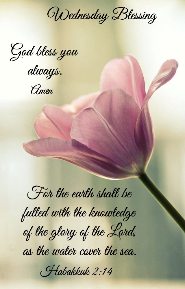 Good Morning 🌸
For the earth shall be filled with the knowledge of the glory of the Lord, as the water cover the sea. God bless you always. Amen