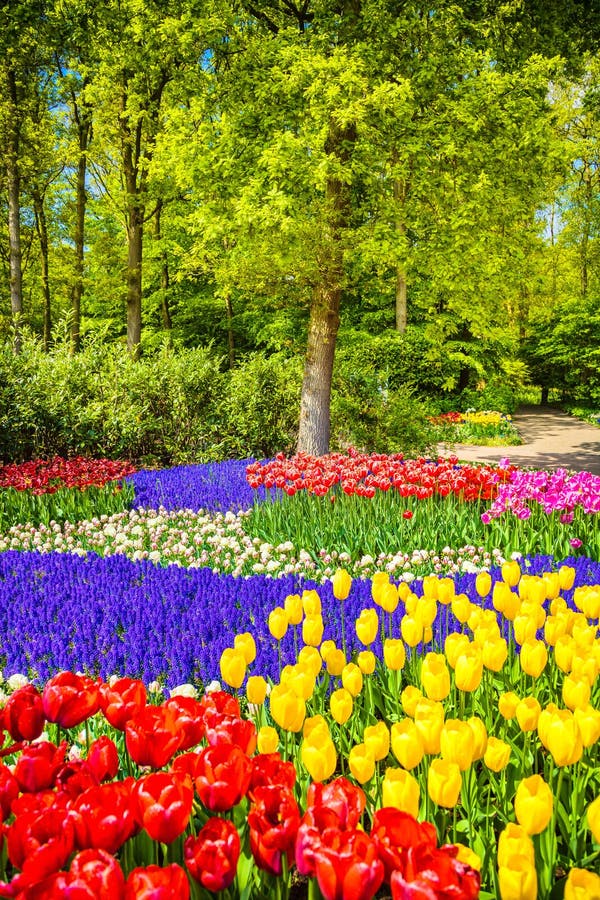 ⚘️Good morning beautiful Souls You don’t have to be great to start, but you have to start to be great⚘️🫶🏻💋💋

#GoodMorningX
#NaturePhotography
#PeaceAndLove