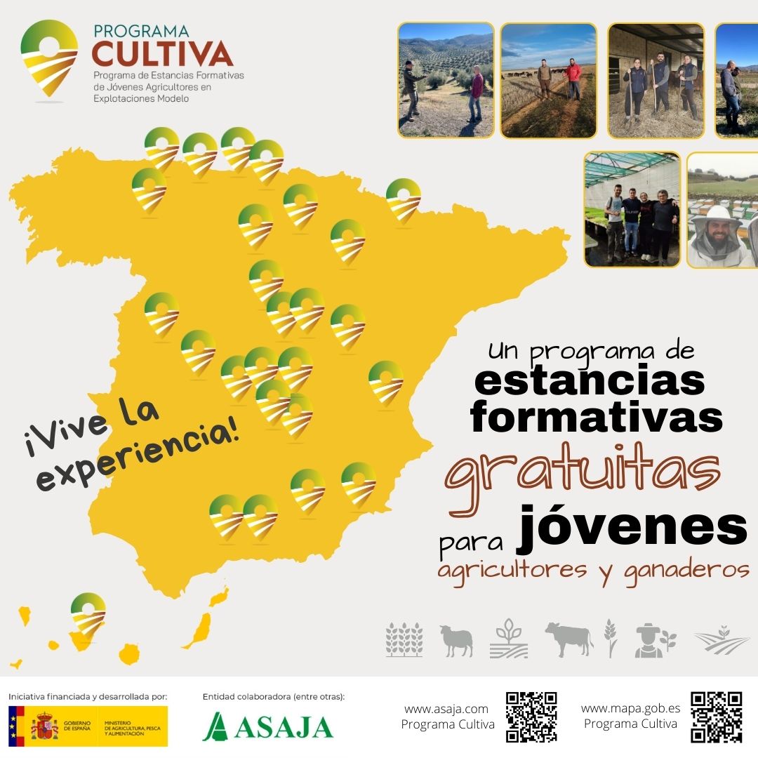 ASAJAMURCIA's tweet image. 🌱 Estancias formativas para jóvenes agricultores y ganaderos
El Programa Cultiva ofrece la oportunidad de realizar estancias prácticas en explotaciones modelo👉mapa.gob.es/.../relevo.../…
#ProgramaCULTIVA
#JóvenesAgricultores #Ganaderos
#FormaciónRural
@asajanacional @gobmapa