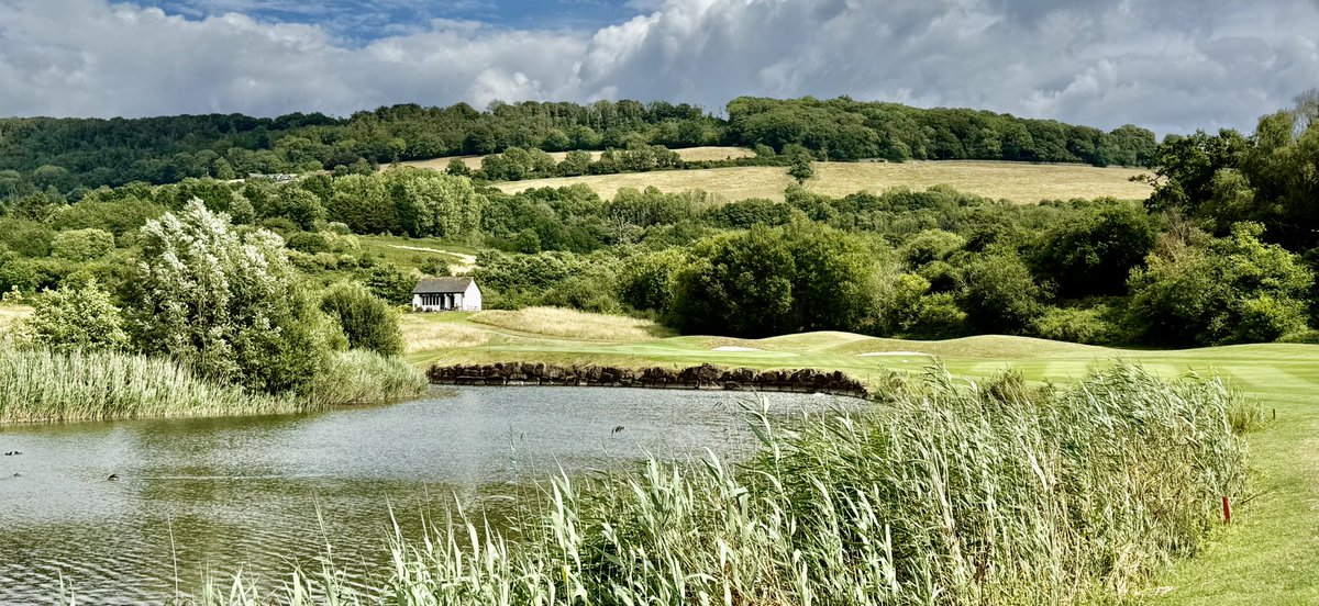 Dorset Golfer tweet media