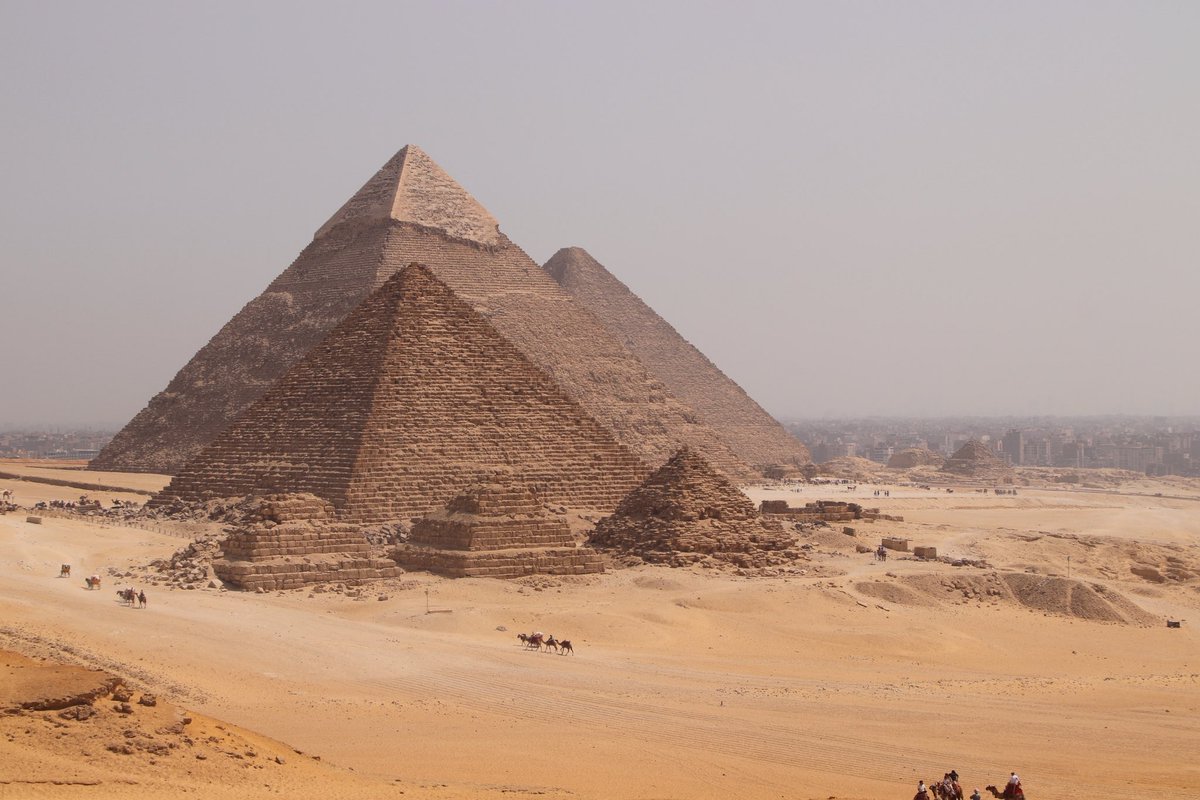 象使い改めラクダ使いになりました🐪🇪🇬