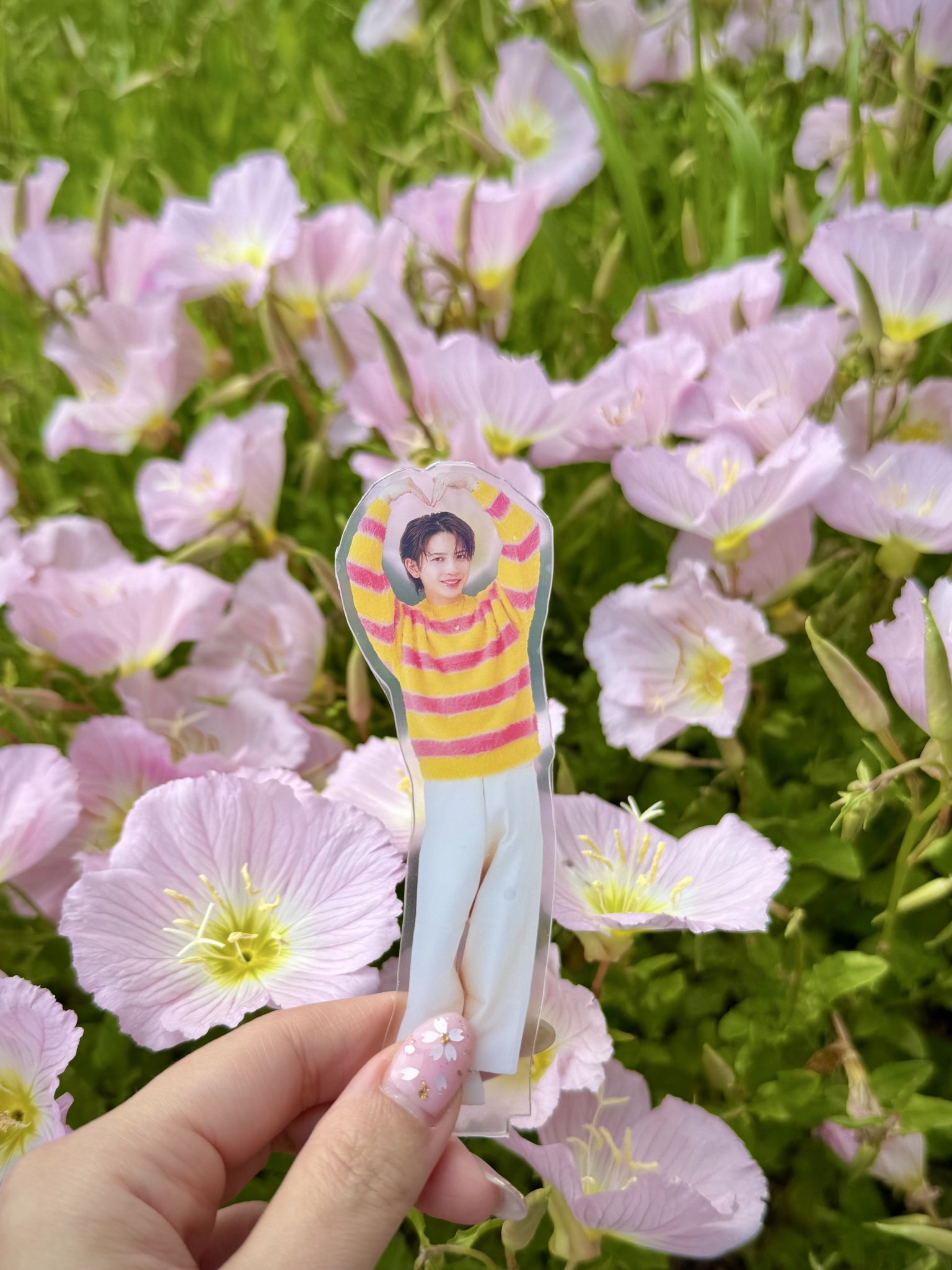𝑰𝒘𝒂𝒉𝒂𝒔𝒉𝒊𝒔𝒎🧚‍♀️ いわちのFairy on X: 