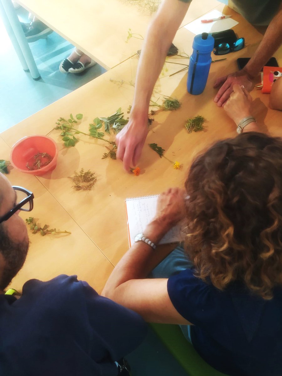 El domingo pasado realizamos un taller de plantas medicinales.
Aprendimos a identificar cada planta, conocimos sus  propiedades medicinales y descubrimos algunos remedios caseros para cada una como infusiones, oleatos, ungüentos o emplastos🌱
¡Gracias a todos los que asististeis!