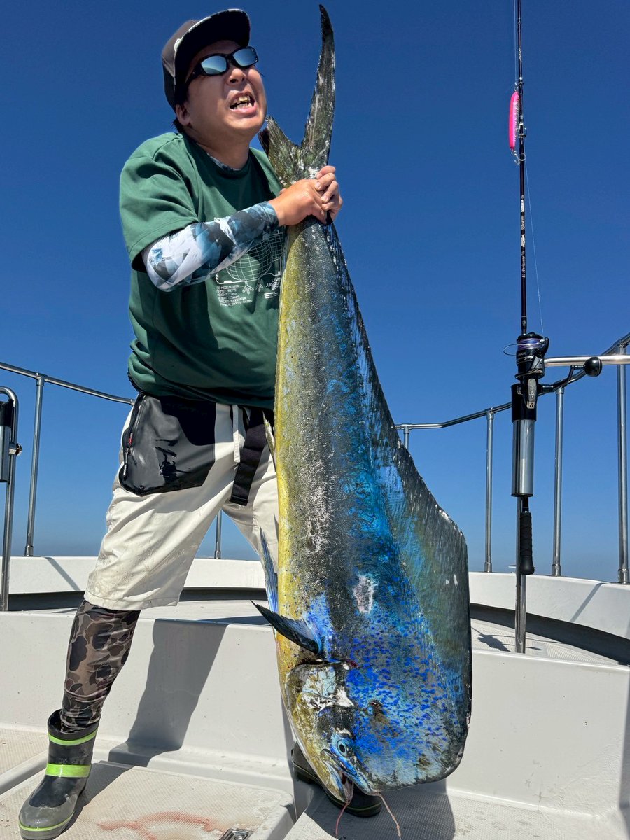 YurieHoi1's tweet photo. 警報等色々ありましたが人生の1ページに残りそうなメモリアルフィッシュ！
162cm22kgのモンスターシイラ！！
いつもモンスター釣らせてくれるカズボートきょうせいさんありがとうございます！！
パナリにソルティガという最強装備で仕留めました🐿️
あ、あとサワラも二本ゲット(ぼんやり) https://t.co/r1X2eMHkiA