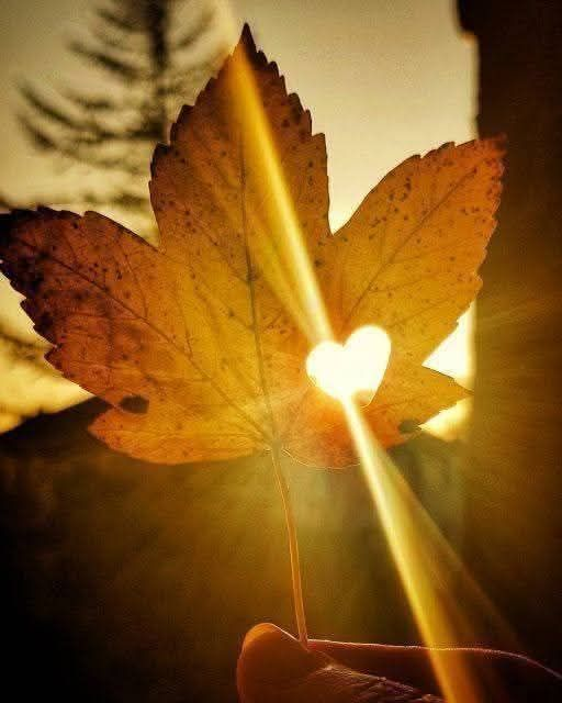 “Un día despertarás y descubrirás que no tienes más tiempo para hacer lo que soñabas. El momento es ahora. Actúa”.
(Paulo Coelho)