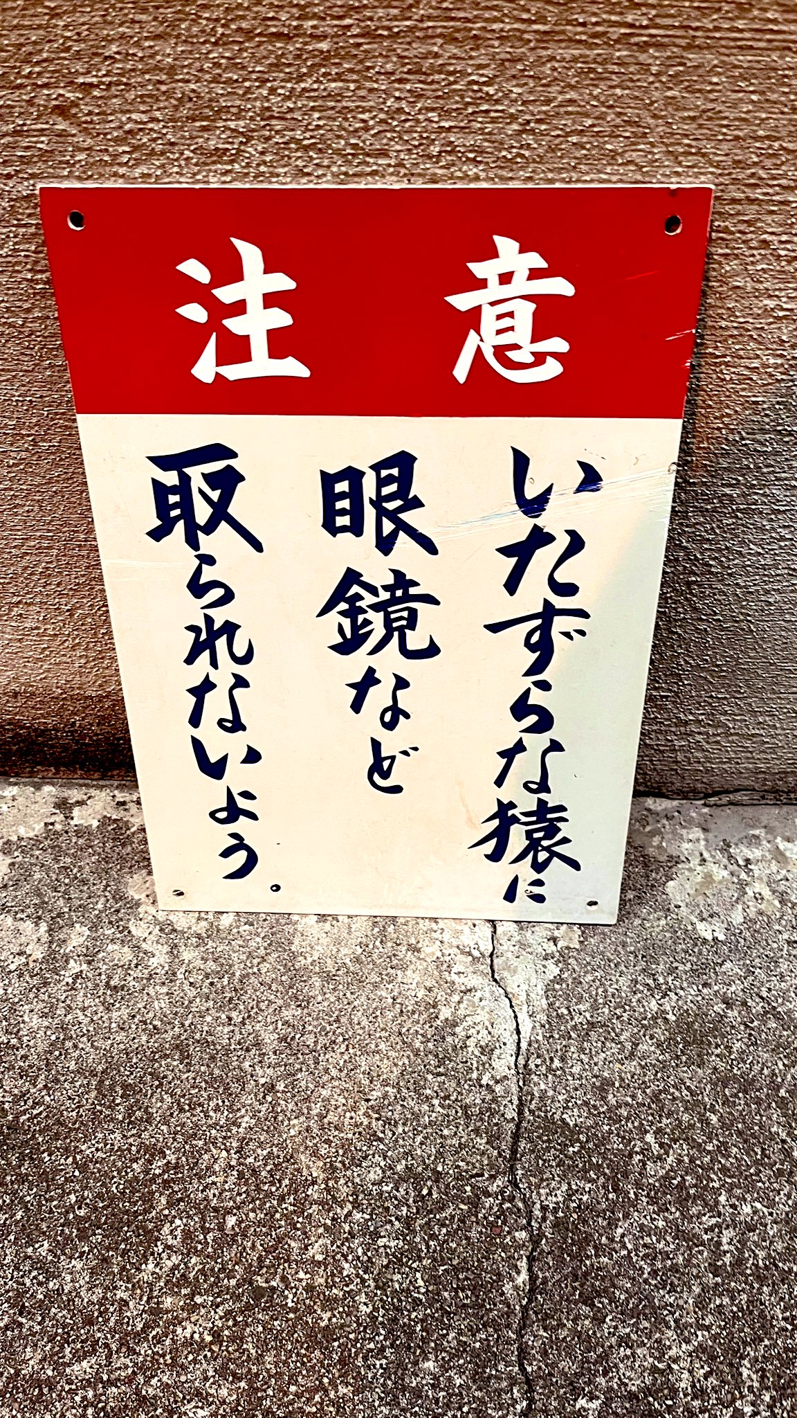 ODYSSEYFZGSDDJFLX10CW ゴリラになります 61XvV4stm5L._UF894,1000_QL80_.jpg