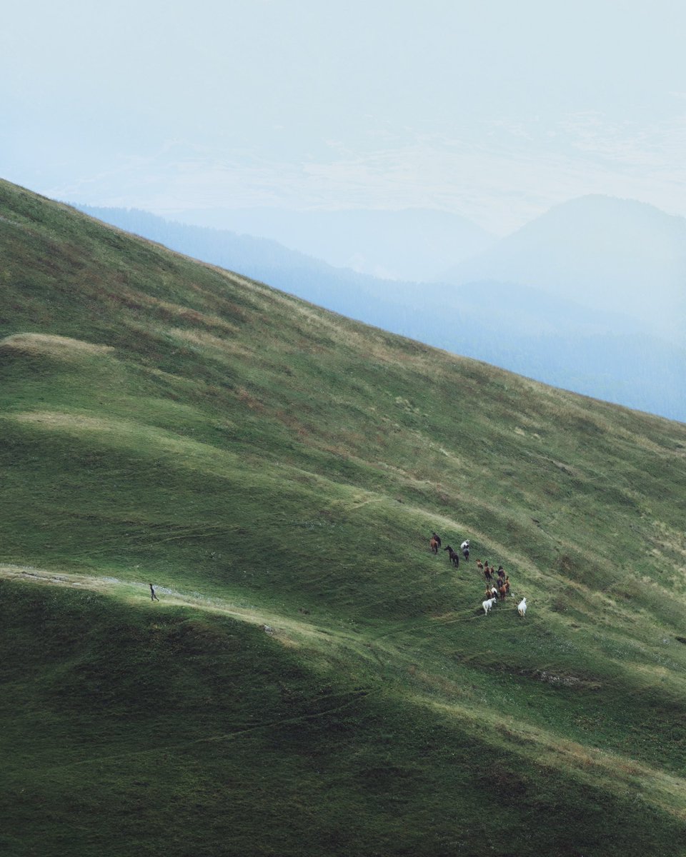 Кому нужны эти ваши хасселблады, сони и фуджи, когда есть старый добрый никон: