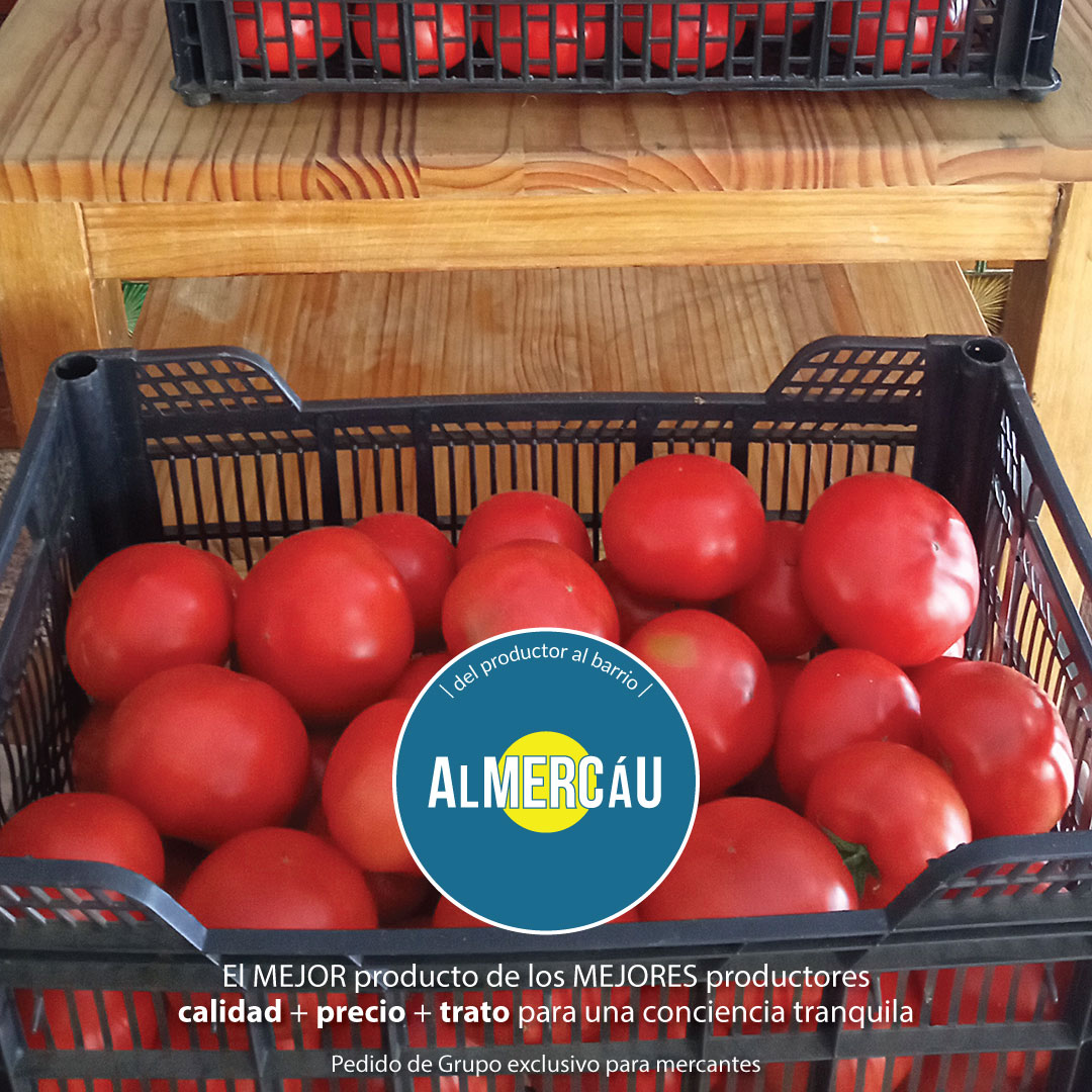 Si eres mercante,
desde hoy puedes pasar por tus TOMATES

No verás MEJOR PRODUCTO y condiciones porque nuestro trabajo es encontrar LOS MEJORES PRODUCTORES: x calidad, precio y trato. Y dedicamos MUCHO tiempo a ello.

👉Si lo encuentras en AlMercáu, sabes que es EL MEJOR PRODUCTO