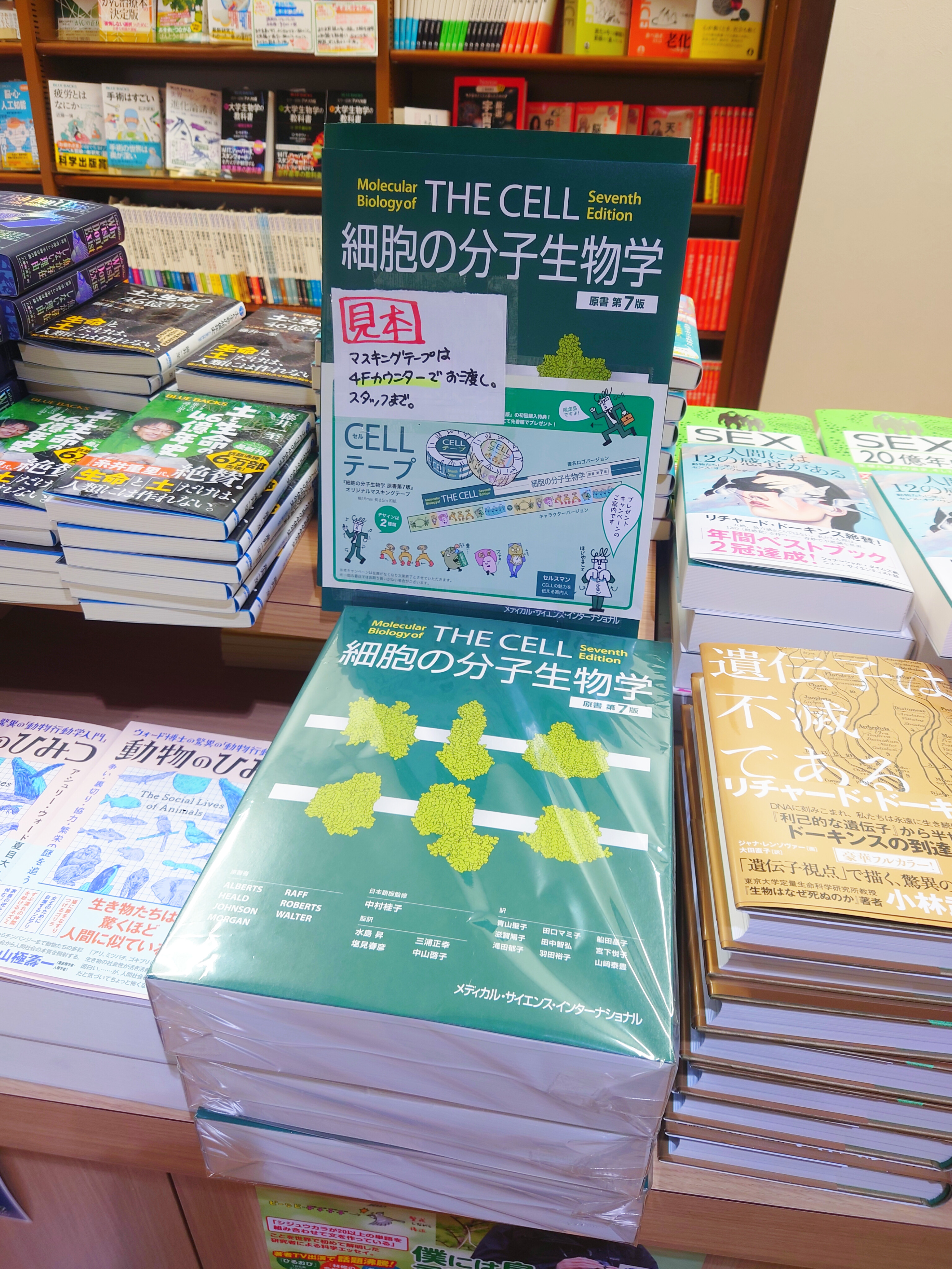 スタンフォード神経生物学/メディカル・サイエンス・インタ