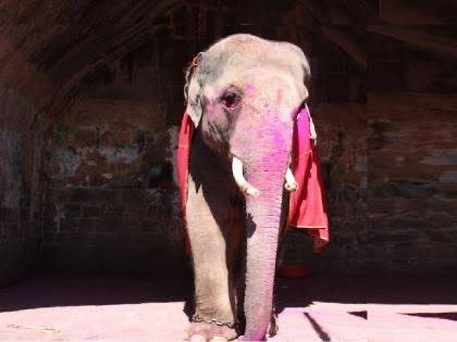 नास्तिक पक्याभाऊ महाराष्ट्र राज्य tweet media