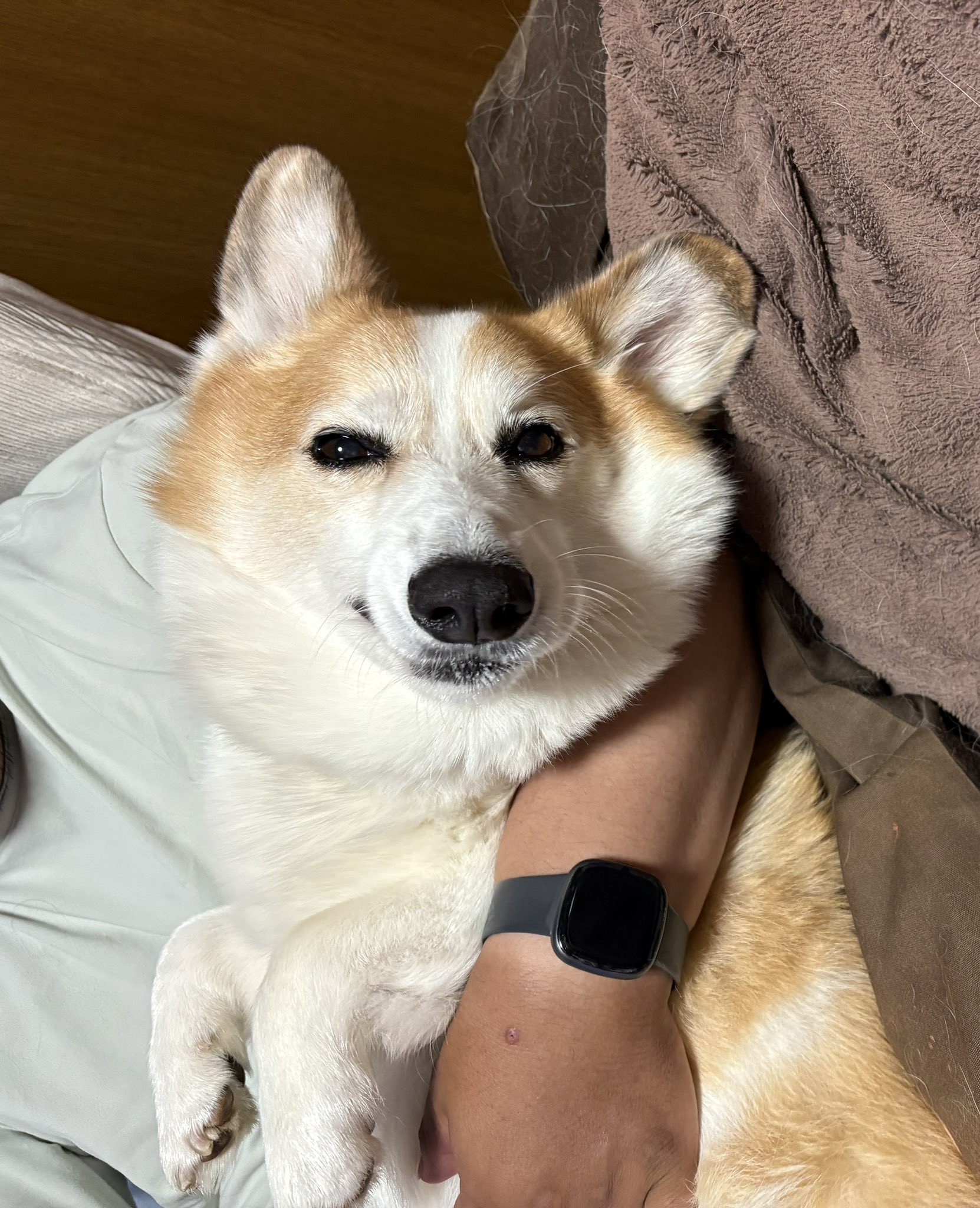 むぎ on X: 