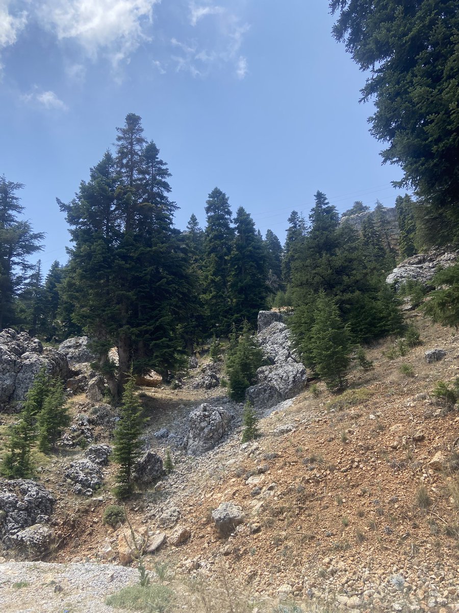 Toroslar’ın eteğinden 
Erdemli Mersin