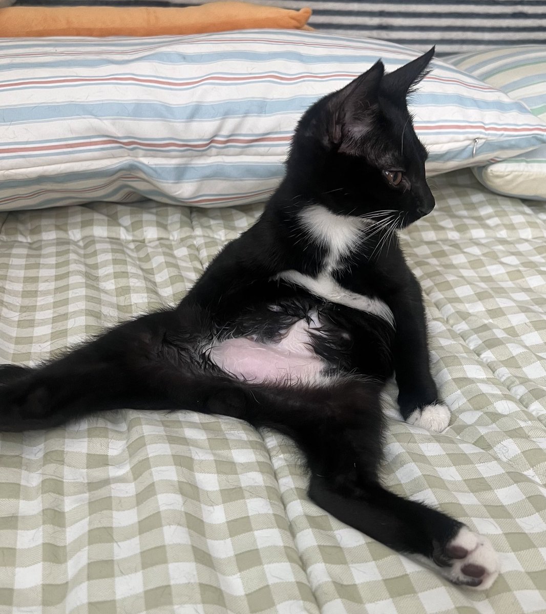 밥풀이는 셀프쯉쯉이 하다 말고 다른 곳에 정신 팔릴 때 요상한 자세가 나옴