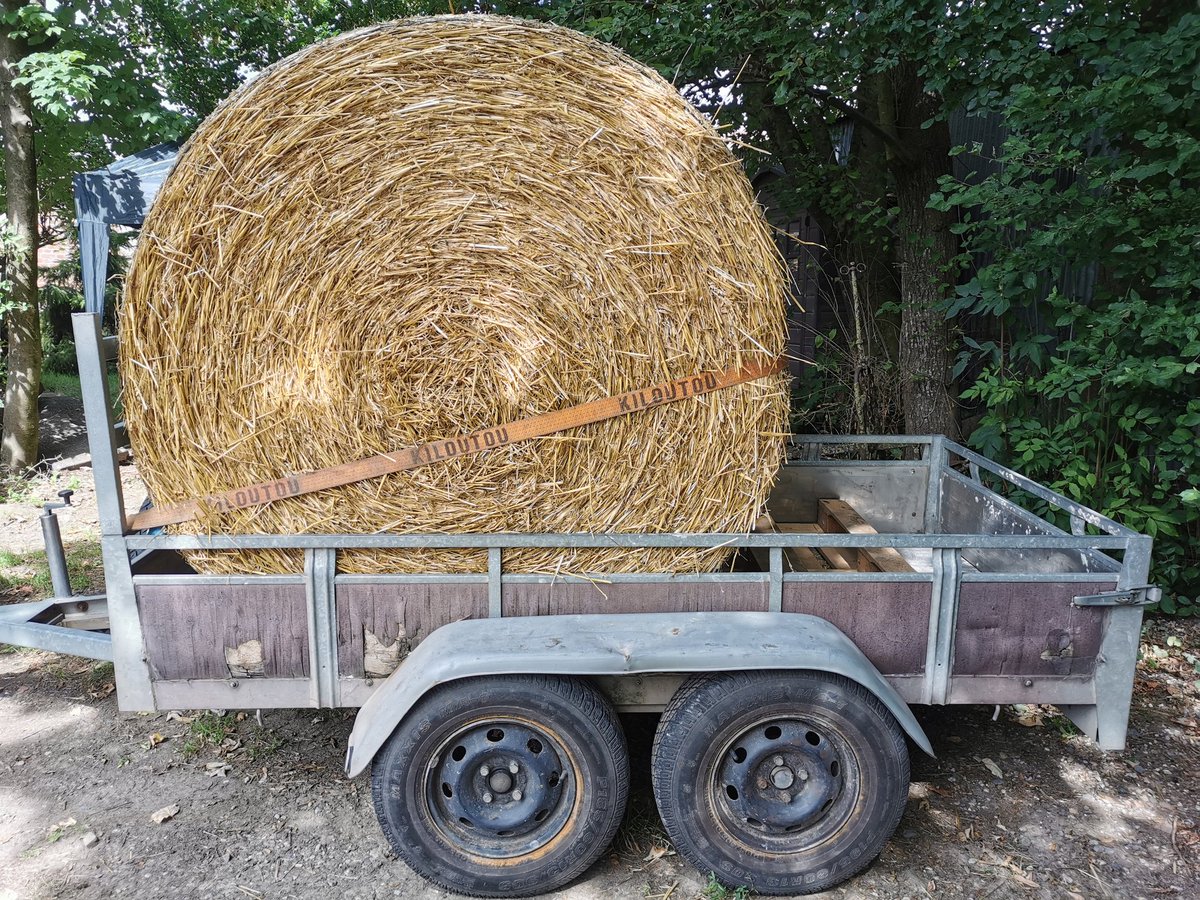 Aurélien BEAUCAMP (@a_beauc) on Twitter photo #Nouvelle #technologie pour rentrer la #paille, 800 voyages à effectuer pour rentrer l'ensemble des ballots pour les #vaches 🐄 laitières.
Je sens que cette technique va faire des émules 😅
#FrAgTw
#ceuxquifontlelait
<a href="/LesProLaitiers/">Les Produits Laitiers</a> #Nouvelle #technologie pour rentrer la #paille, 800 voyages à effectuer pour rentrer l'ensemble des ballots pour les #vaches 🐄 laitières.
Je sens que cette technique va faire des émules 😅
#FrAgTw
#ceuxquifontlelait
<a href="/LesProLaitiers/">Les Produits Laitiers</a>