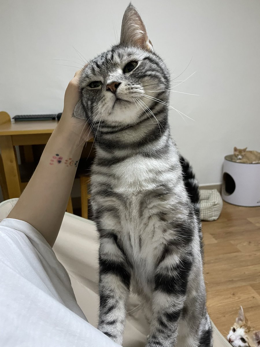 안녕하세요 맡겨 논 이뻐이뻐 받으러 왔습니다