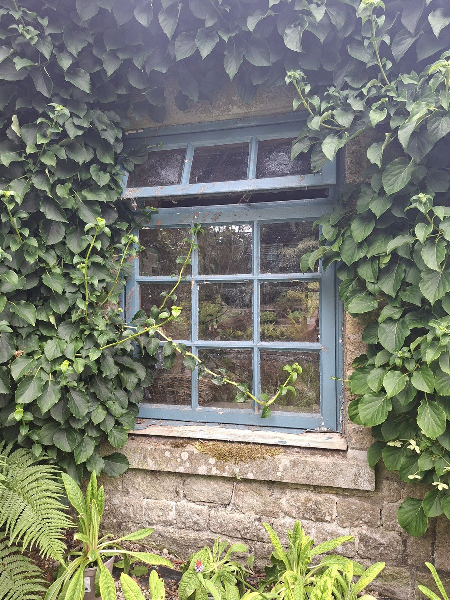 Potting Shed Window 
Eggleston Hall Gardens, County Durham #WindowsOnWednesday