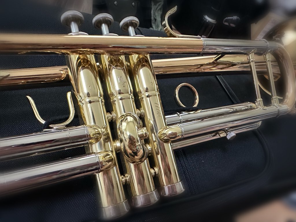 お買い上げありがとうございます

できる限りご主人様の思う音を奏でるんだよ