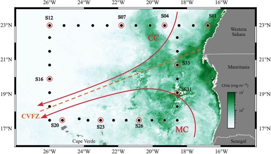 Biological Oceanography Group tweet media