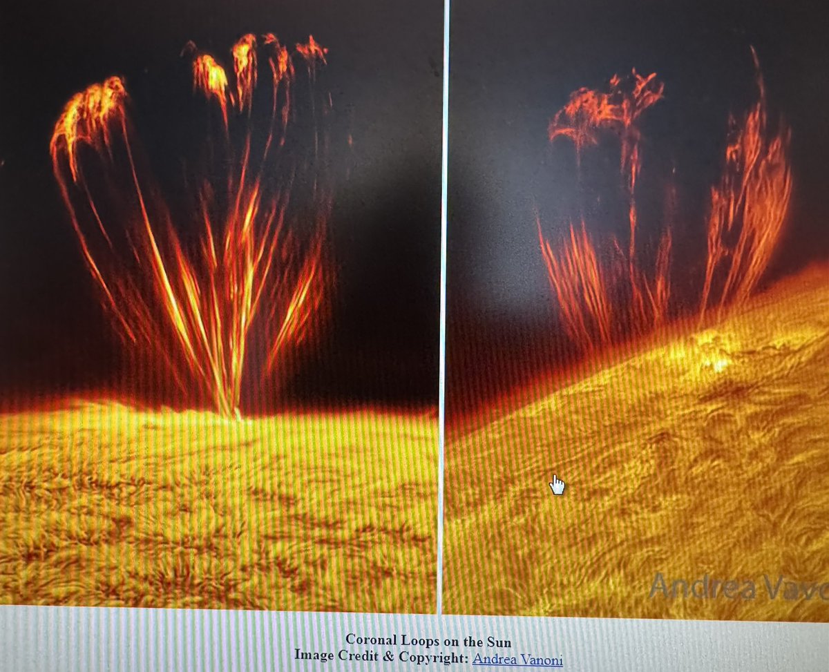 Flowers from the Sun. Our Sun frequently erupts in loops that look flowers.
From Astronomy Picture of the day