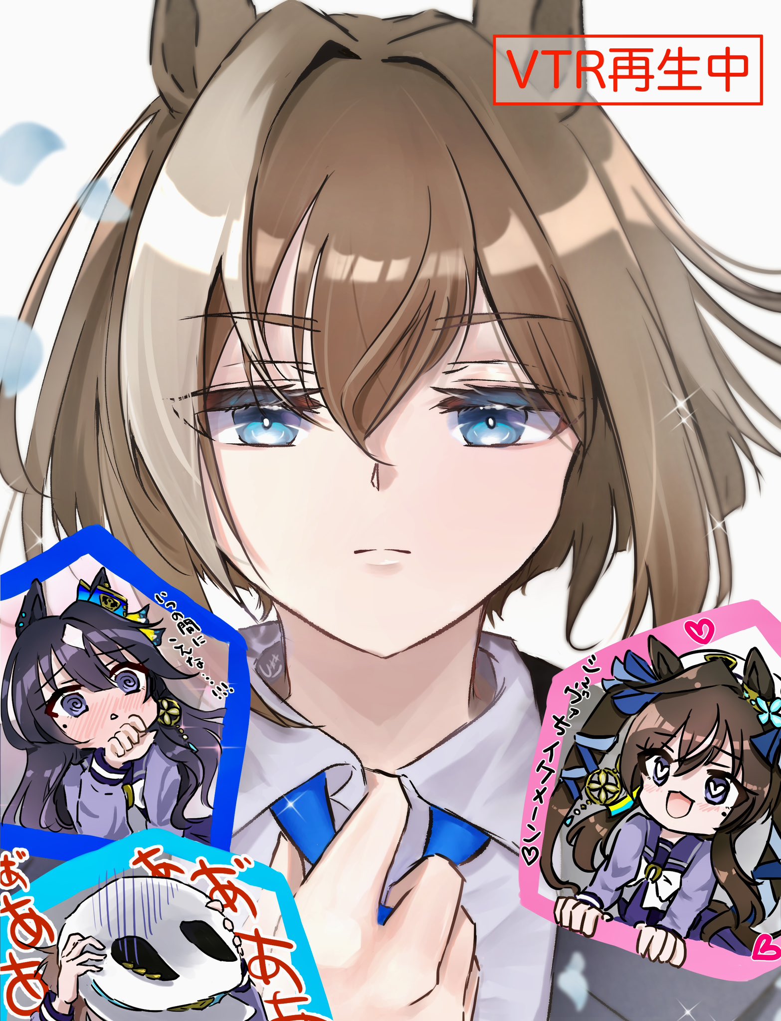 キジちゃん 26点 おまとめ 11日更新 キジ白の生後6ヶ月の女の子