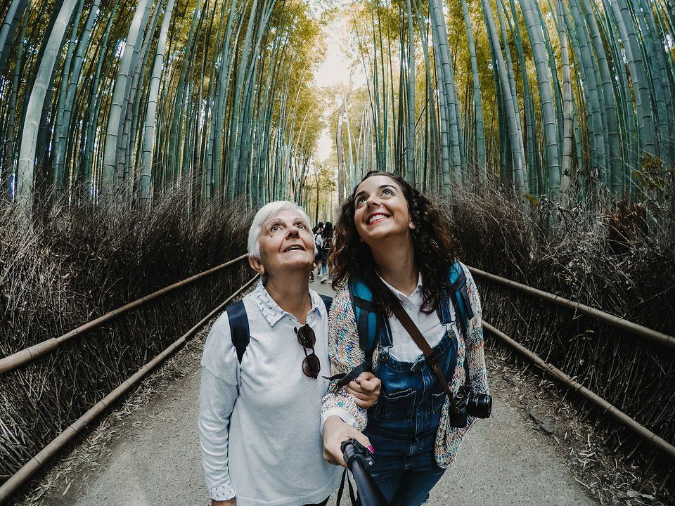 Japan is on track to surpass 40 million international visitors by the end of 2025, according to new analysis by Tourist Japan, one of the country's tour operators. #Japan #TouristJapan
traveldailymedia.com/japan-to-recei…
