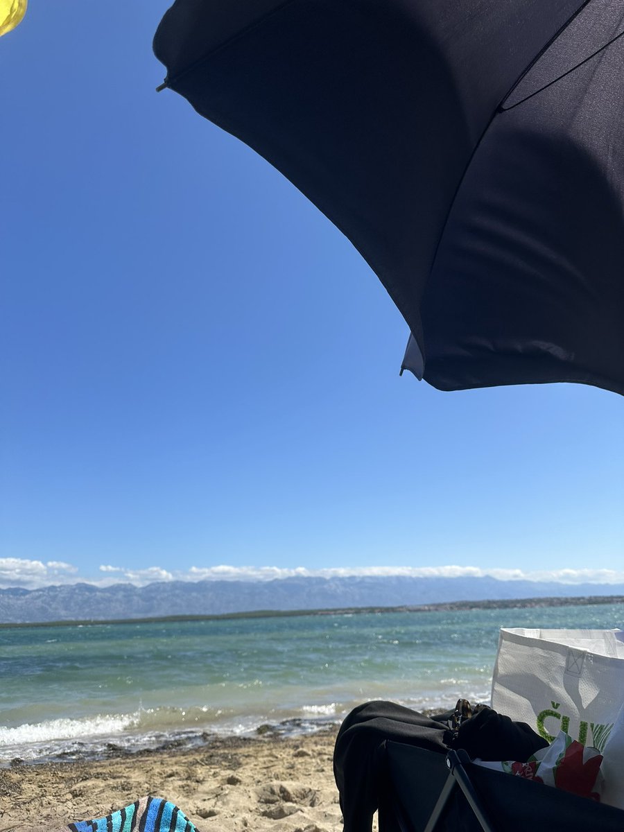 TrencherFallen's tweet photo. Made $800 in 30 minutes while on vacation https://t.co/VnB9cOFgmE